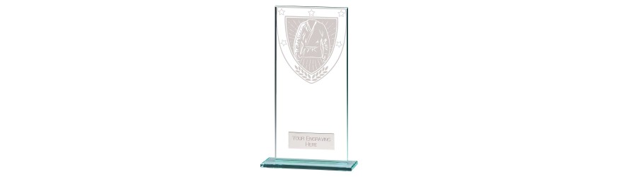MILLENNIUM MARTIAL ARTS GLASS TROPHY - 6 SIZES - 8CM - 18CM MILLENNIUM MARTIAL ARTS GLASS TROPHY - 6 SIZES - 8CM - 18CM